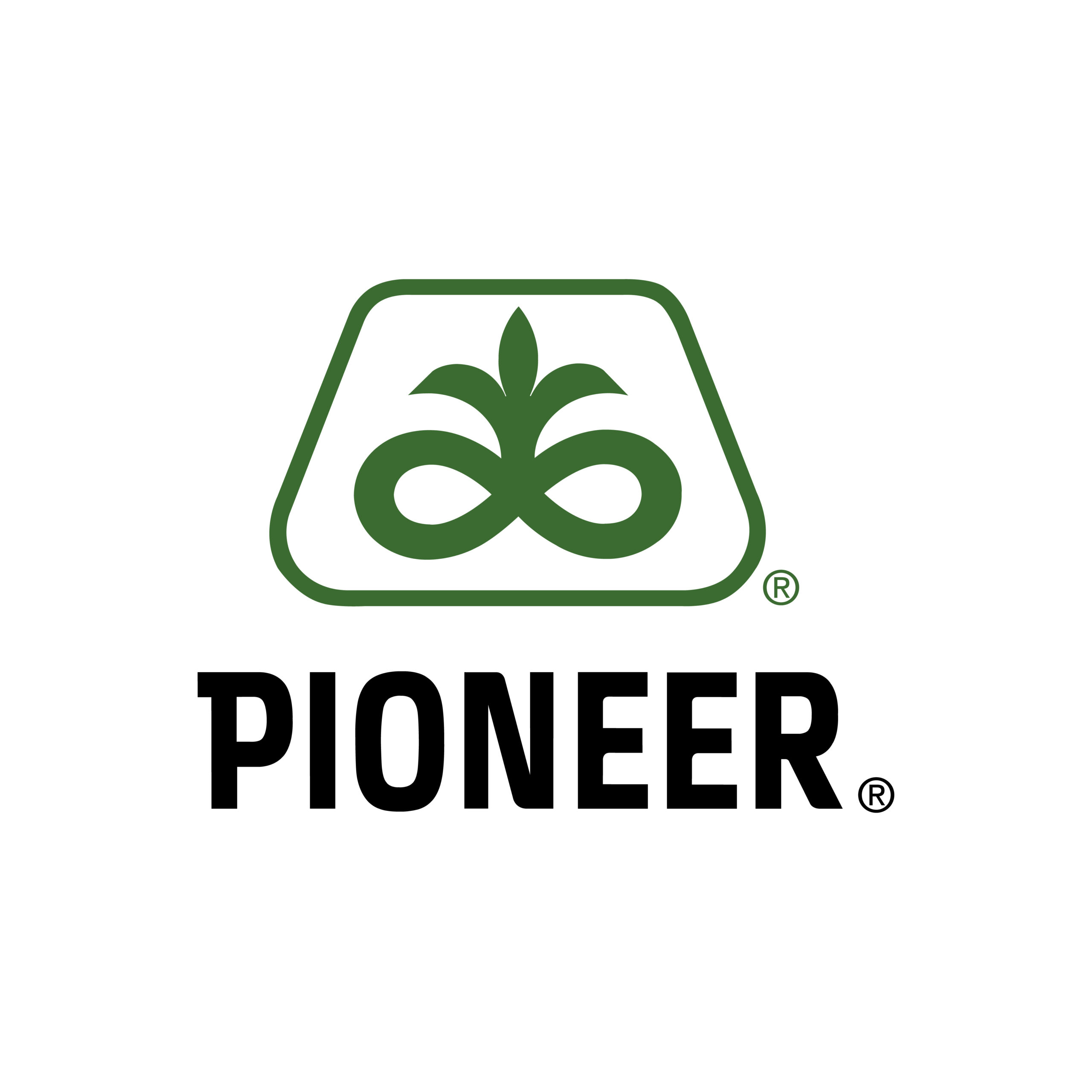 PİONEER P0937 DANELİK MISIR TOHUMU 50.000 ADET