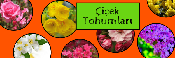 Han Tarım Market promo