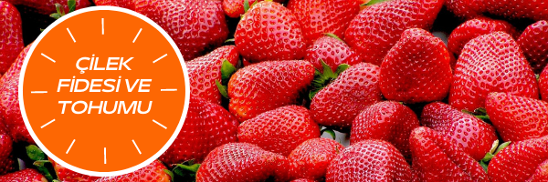 Han Tarım Market promo